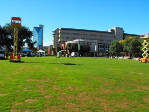 square (02)
