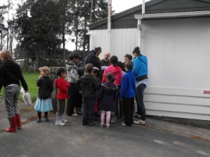 Picture 010