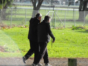 Picture 041
